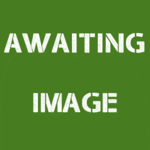 New Genuine British Army Issue Arctic snow Camo Netting